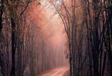 祝贺！国羽提前包揽总决赛女单冠亚军人民网微博.