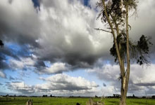 开云,官网：[图]NBA：雷霆121-105国王 亚历山大32分7板5助.