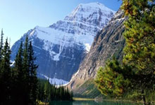 勇士遭重创！小佩顿拇指韧带撕裂无限期缺阵 一周后接受重新评估.