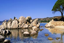 开云,官网：“雅思组合”上演最后一舞！用冠军为传奇生涯完美收官澎湃新闻.